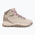 Damen-Trekkingschuhe Columbia Newton Ridge Plus Wp Amped dark stone/cosmos 2