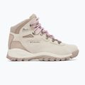 Damen-Trekkingschuhe Columbia Newton Ridge Plus Wp Amped dark stone/cosmos