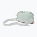 Bauchtasche Columbia Trail Traveler Crossbody cool green/mar 2