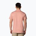 Shirt Herren Columbia Tech Trail Utility Polo tuscan heather 3