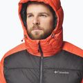 Herren Steppjacke Columbia Pike Lake II Hooded zing/shark 6