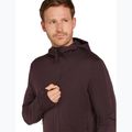 Icebreaker Merino 260 Quantum IV Zip Hoodie für Herren bittersüß 5