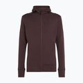 Icebreaker Merino 260 Quantum IV Zip Hoodie für Herren bittersüß 11