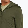 Icebreaker Merino 260 Quantum IV Zip Hoodie Herren Loden 6