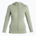 Icebreaker Damen-Trekkingjacke Merino 260 Quantum IV Zip Hoodie lichen 7