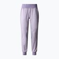 Damen-Trekkinghose The North Face Juniper Basin Jogger lila NF0A7WSQN581