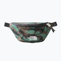 The North Face Jester Lumbar Hüfttasche NF0A52TMI3A1 7