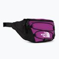The North Face Jester Lumbal lila NF0A52TMYV41 Hüfttasche 2