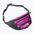 The North Face Jester Lumbal lila NF0A52TMYV41 Hüfttasche 6
