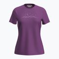 Trekking Shirt Damen icebreaker Merino 150 Tech Lite SS Tee Sparkling Stars passion