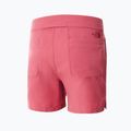 Damen-Klettershorts The North Face Project rosa NF0A5J8L3961 8