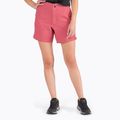 Damen-Klettershorts The North Face Project rosa NF0A5J8L3961