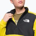 Herren Fleece-Sweatshirt The North Face Ma gelb NF0A5IESY7C1 7