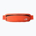 The North Face Laufgürtel orange NF0A52D4ZV21 2