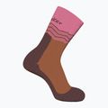 Trekking Socken Damen icebreaker Merino Hike+ Medium Crew Across the Peaks pop/carob 2