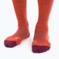 Icebreaker Damen Wandersocken Hike+ Light Crew rot 105099 3