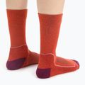 Icebreaker Damen Wandersocken Hike+ Light Crew rot 105099 4
