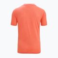 Icebreaker Zoneknit Geodetic Thermo-T-Shirt für Herren gelb IB0A56PZ7861 7