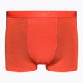 Thermo-Boxershorts für Männer Eisbrecher Anatomica Cool-Lite rot 105223