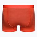 Thermo-Boxershorts für Männer Eisbrecher Anatomica Cool-Lite rot 105223 2