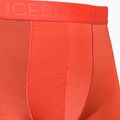 Thermo-Boxershorts für Männer Eisbrecher Anatomica Cool-Lite rot 105223 3