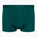 Thermo-Boxershorts für Männer Eisbrecher Anatomica Cool-Lite grün 105223