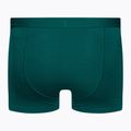 Thermo-Boxershorts für Männer Eisbrecher Anatomica Cool-Lite grün 105223 2
