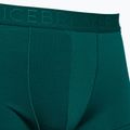 Thermo-Boxershorts für Männer Eisbrecher Anatomica Cool-Lite grün 105223 3