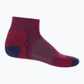 Herren Wandersocken icebreaker Hike+ Light Mini Go Berry 105102