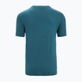 Herren Thermo-T-Shirt icebreaker Tech Lite II Cadence Paths grün IB0A56N87281 7