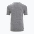 Herren Thermo-T-Shirt Icebreaker Tech Lite II Natur Sprint grau IB0A56NB0041 7