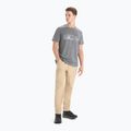 Herren Thermo-T-Shirt Icebreaker Tech Lite II Natur Sprint grau IB0A56NB0041 2