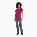 Damen Thermo-T-Shirt icebreaker Tech Lite II Moon Phase kastanienbraun IB0A56NO7351 2