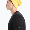 Icebreaker 200 Oasis Crewe Ski Stripes Herren Thermo-Sweatshirt schwarz 5