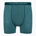 Icebreaker Anatomica Greenglory Herren Thermo-Boxershorts 103029