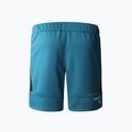 Herren Laufshorts The North Face MA Fleece blau NF0A823OES31 7