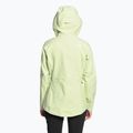 Damen Regenjacke The North Face Stolemberg 3L Dryvent grün NF0A7ZCHN131 2