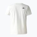 Herren-Trekking-T-Shirt The North Face Foundation Grafik weiß NF0A55EFQ4C1 2