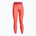 Under Armour Branded WB Damen Leggings orange 1377089 3