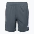 Shorts Kinder Nike Dri-Fit Multi smoke grey/white/white