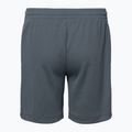 Shorts Kinder Nike Dri-Fit Multi smoke grey/white/white 2