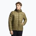 Herren Daunenjacke The North Face Thermoball Eco Hoodie 2.0 grün NF0A5GLK37U1