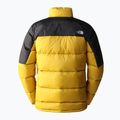 Daunenjacke Herren The North Face Diablo Down gelb NFA4M9J81U1 11