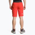 Herren-Trekking-Shorts The North Face AO Woven rot NF0A5IMM15Q1 2