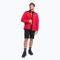 Herren The North Face Alpine Polartec 200 Fleece-Sweatshirt rot NF0A7WWLKZ31 2