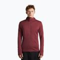 Herrenpullover Icebreaker Merino 260 Quantum IV LS Zip Hoodie port/agate