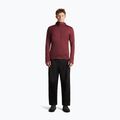 Herrenpullover Icebreaker Merino 260 Quantum IV LS Zip Hoodie port/agate 4