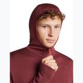 Herrenpullover Icebreaker Merino 260 Quantum IV LS Zip Hoodie port/agate 6