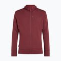 Herrenpullover Icebreaker Merino 260 Quantum IV LS Zip Hoodie port/agate 10