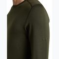 Herren Funktionsshirt langärmlig Icebreaker 260 Tech Crewe Dark Loden 6